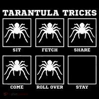 Tarantula Tricks Hairy Spiders Ntomophile Entomologist Coaster thumb 2