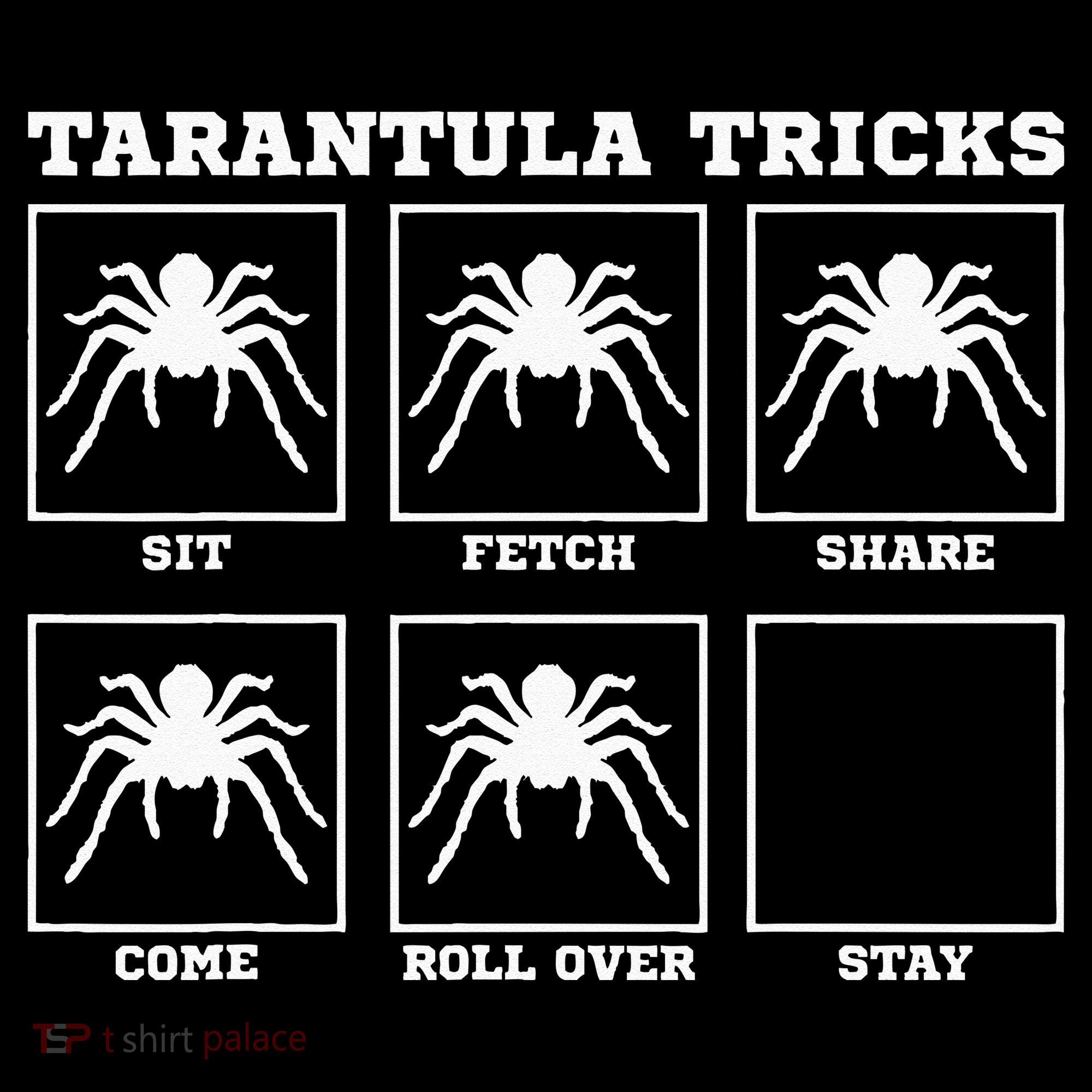Tarantula Tricks Hairy Spiders Ntomophile Entomologist Kids Hoodie