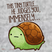 This Turtle.. He Judges You. The Baniff Cuffed Pom Beanie thumb 2