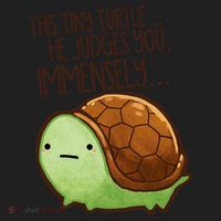 This Turtle.. He Judges You. Comfort Colors Boxy T-Shirt thumb 3