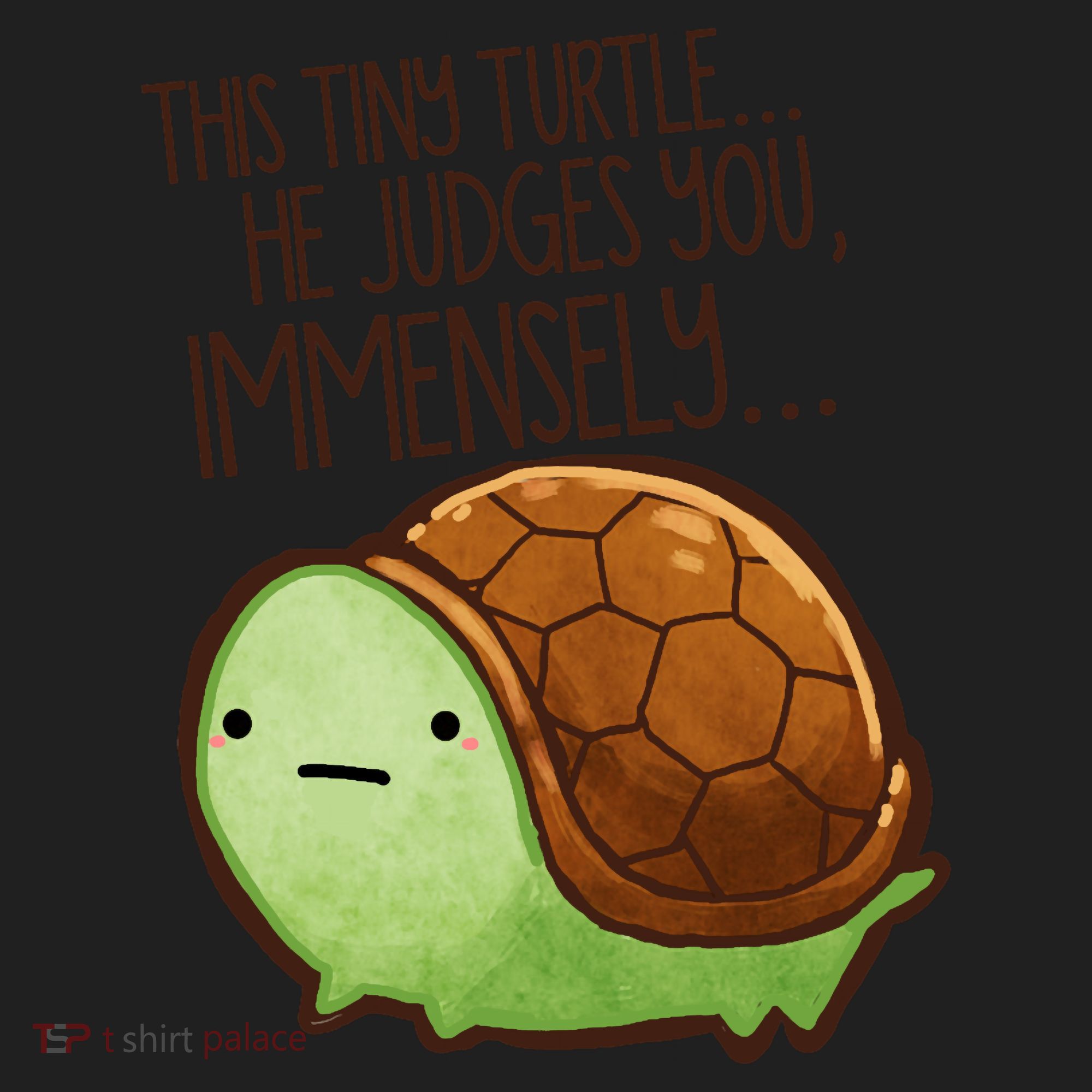 This Turtle.. He Judges You. Comfort Colors Boxy T-Shirt