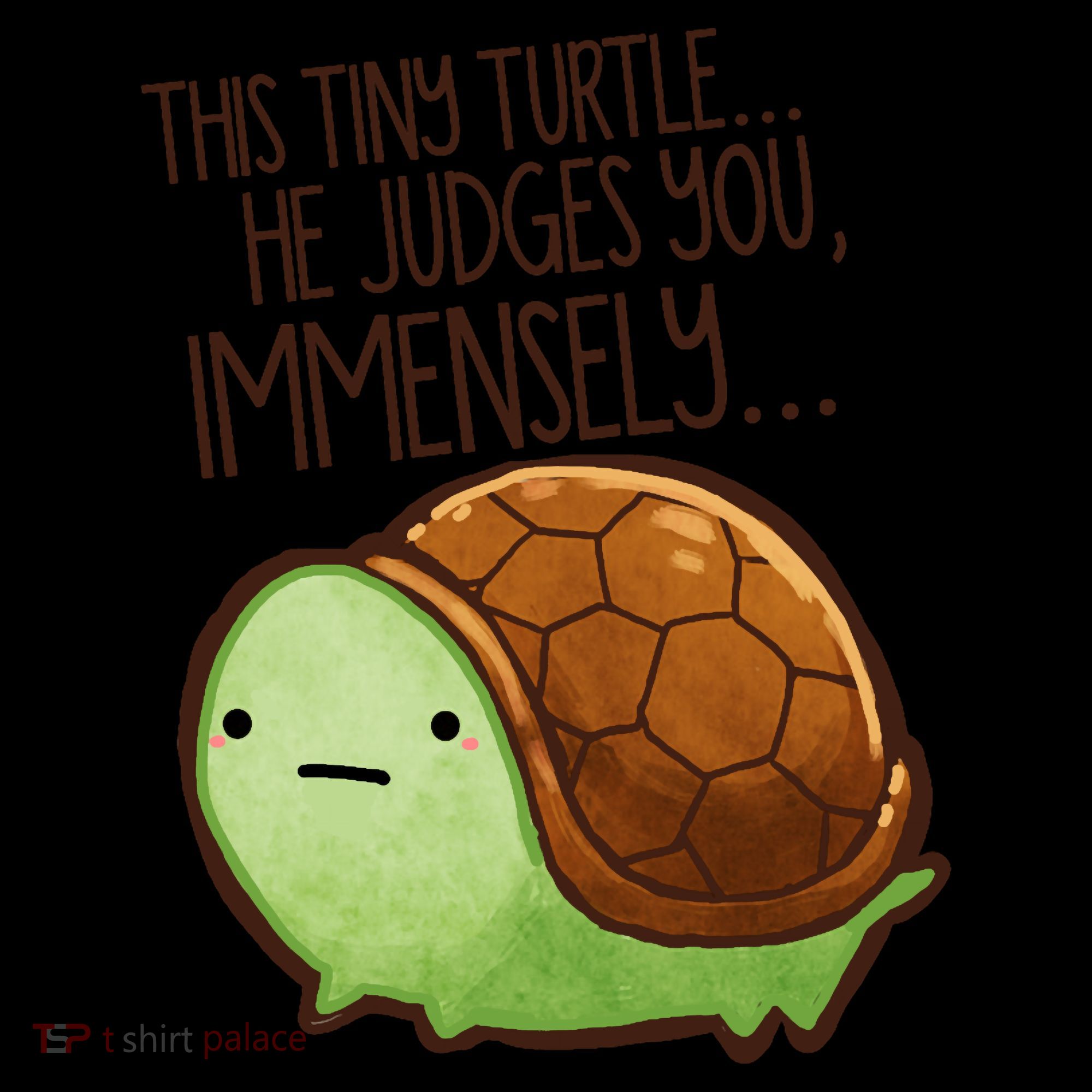 This Turtle.. He Judges You. Coaster