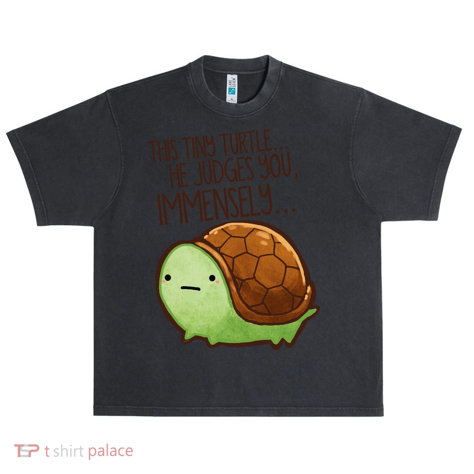 This Turtle.. He Judges You. Urban Oversized Heavyweight T-Shirt