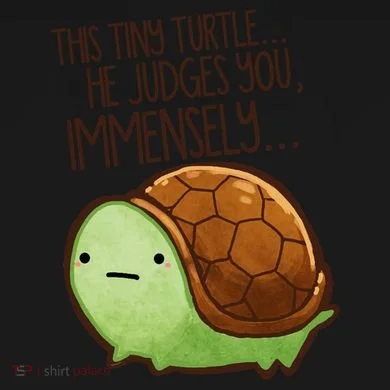 This Turtle.. He Judges You. Ornament