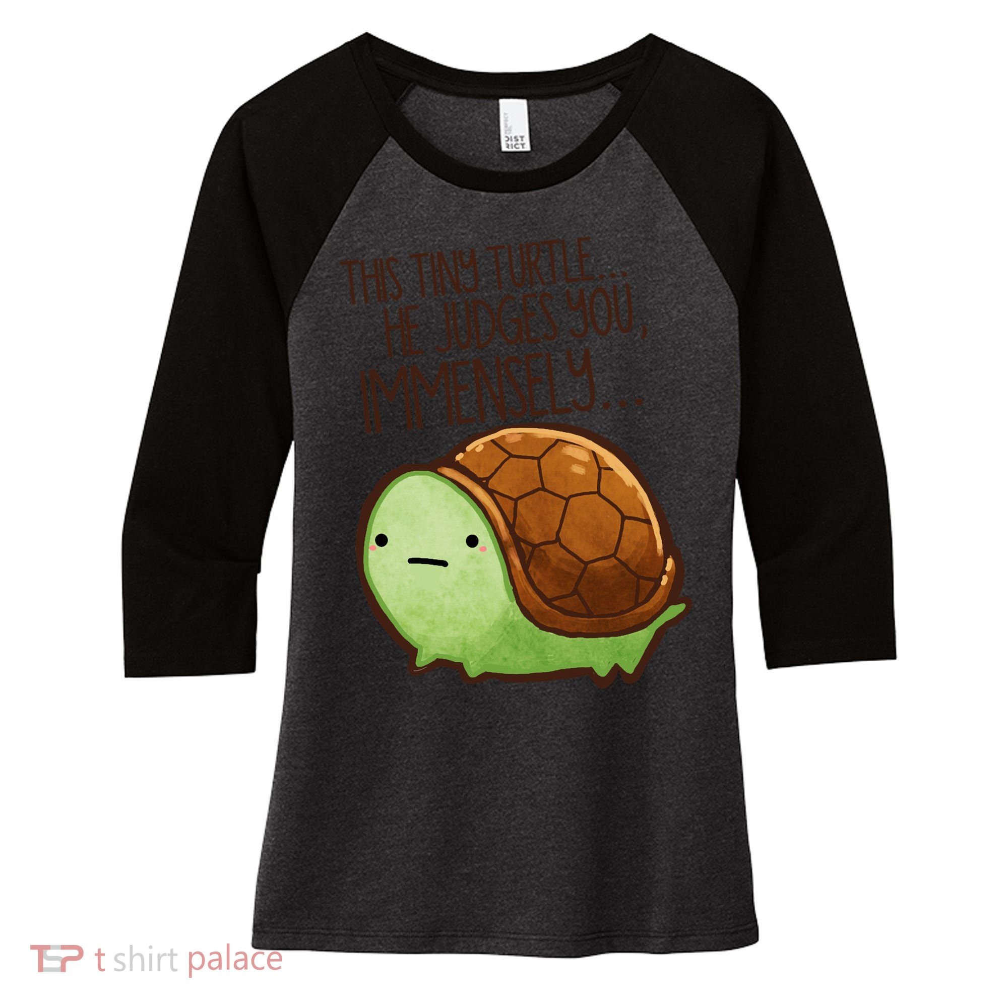 This Turtle.. He Judges You. Women's Tri-Blend 3/4-Sleeve Raglan Shirt