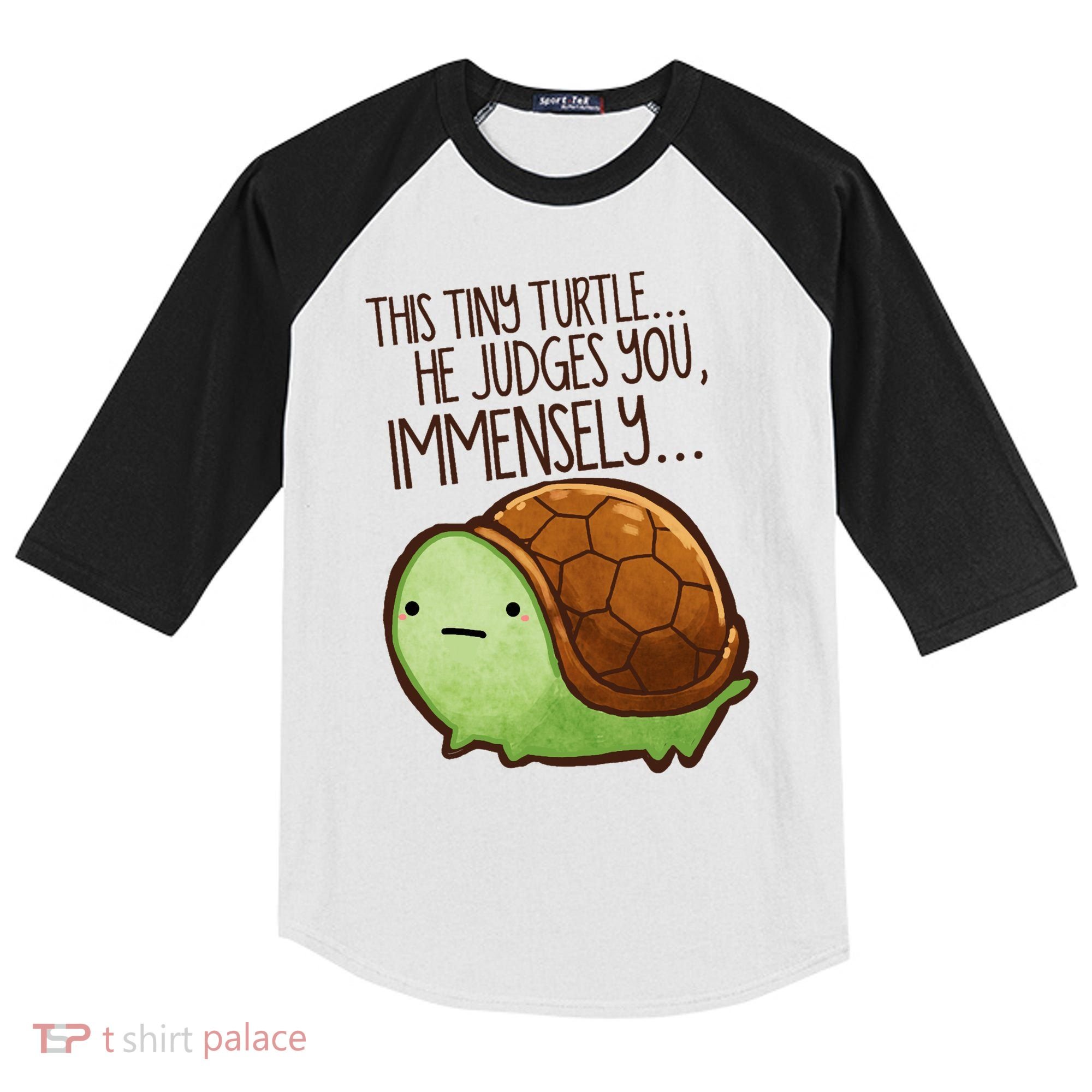This Turtle.. He Judges You. Kids Colorblock Raglan Jersey