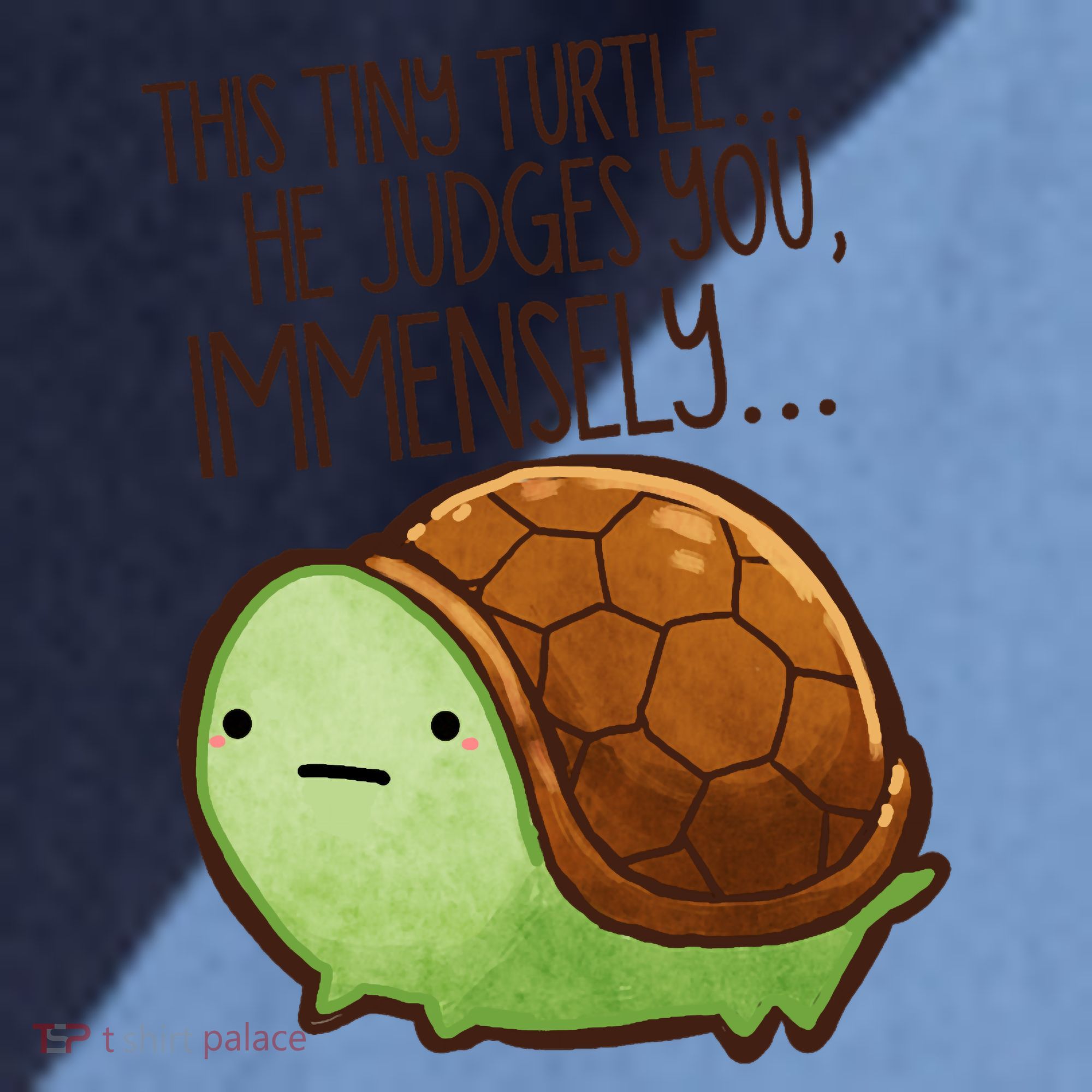 This Turtle.. He Judges You. Raglan Baseball Sleeve Shirt