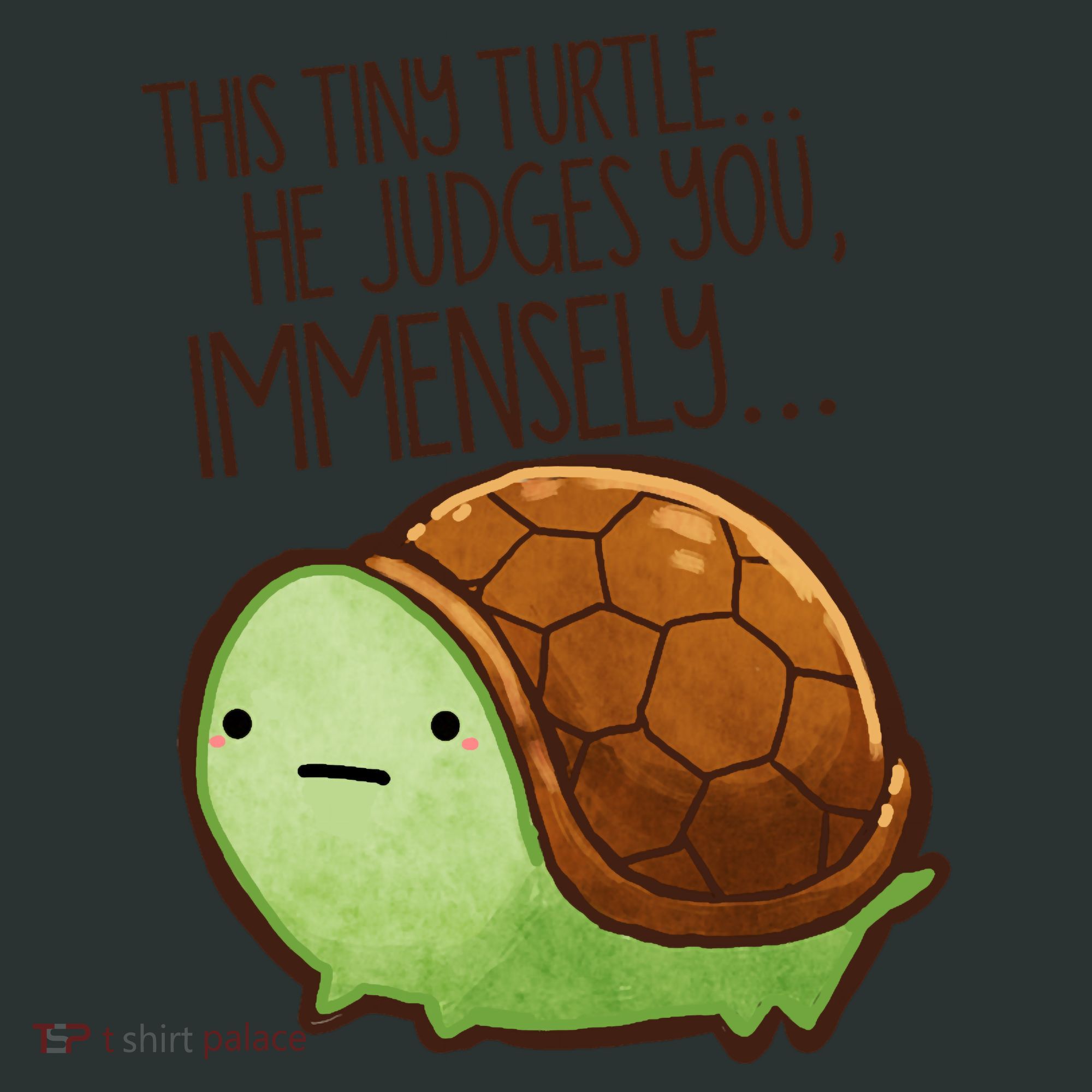 This Turtle.. He Judges You. Infant Baby Jersey Bodysuit