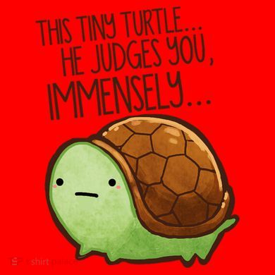 This Turtle.. He Judges You. Santa Hat