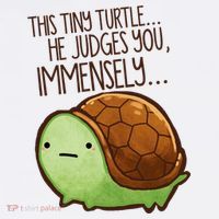 This Turtle.. He Judges You. Comfort Colors Garment-Dyed Hooded Sweatshirt thumb 2