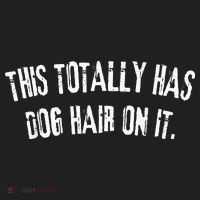This Totally Has Dog Hair On It Hat thumb 2