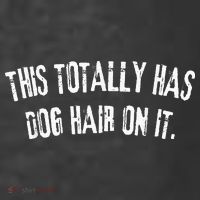 This Totally Has Dog Hair On It Kids T-Shirt thumb 4