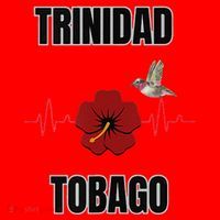 Trinidad Tobago Heartbeat Hibiscus Santa Hat thumb 1