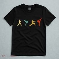 Taekwondo Tae Kwon Do Fighter T-Shirt thumb 5