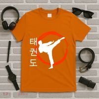 Taekwondo Tae Kwon Do Fighter Korean T-Shirt thumb 5