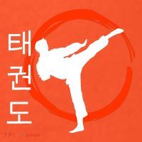 Taekwondo Tae Kwon Do Fighter Korean Coaster thumb 2