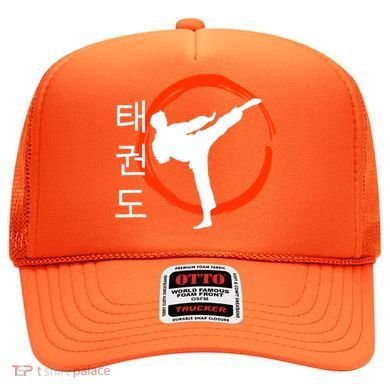 Taekwondo Tae Kwon Do Fighter Korean Hat