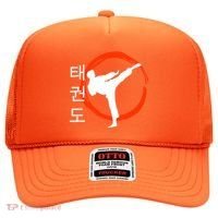 Taekwondo Tae Kwon Do Fighter Korean Hat thumb 0
