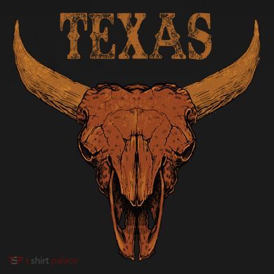Texas TX Lone Star State Toddler Zip Fleece Hoodie