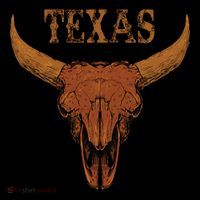 Texas TX Lone Star State Hoodie thumb 7