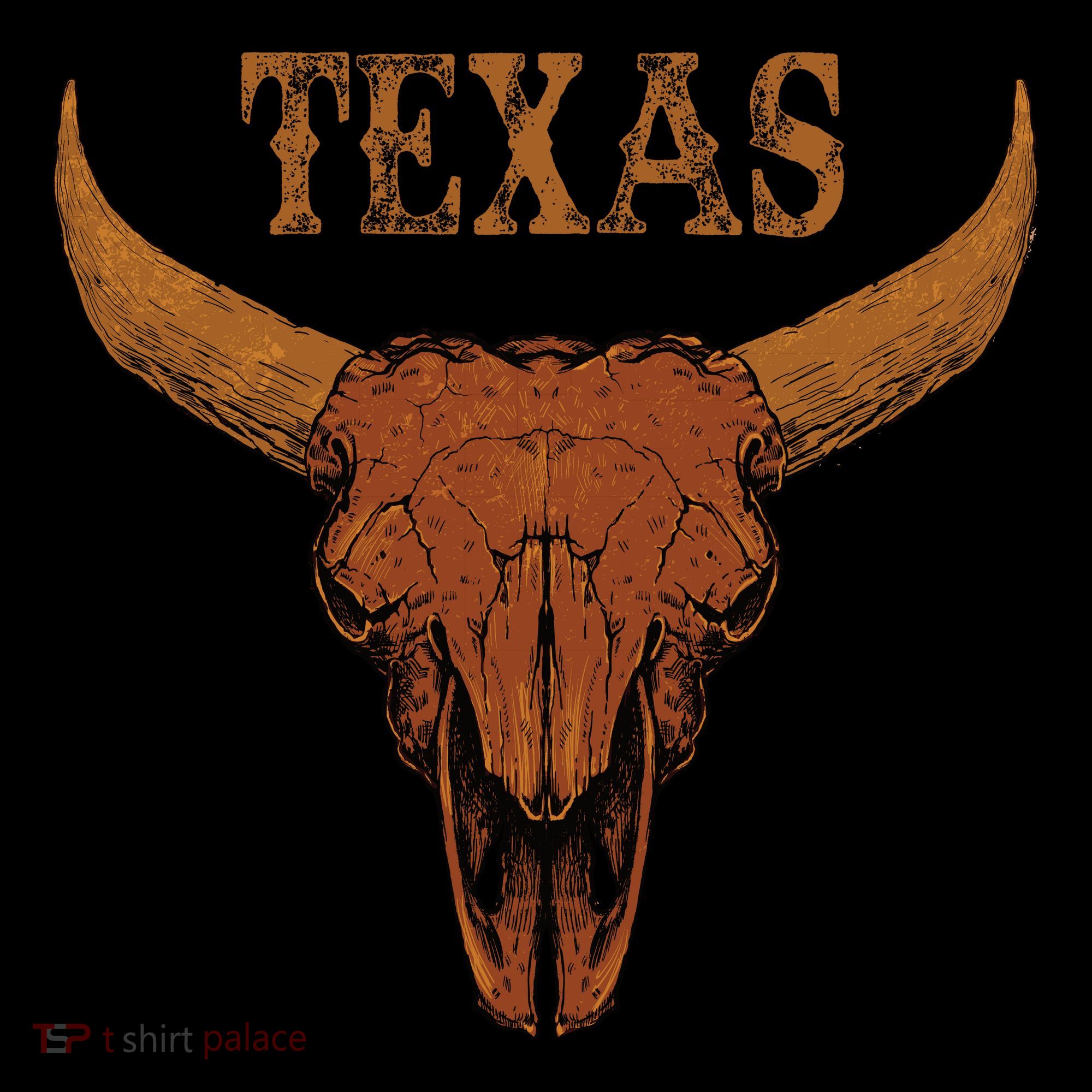 Texas TX Lone Star State Hoodie