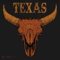 Texas TX Lone Star State Bucket Hat thumb 4