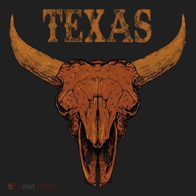 Texas TX Lone Star State 11oz C Handle Ceramic Mug