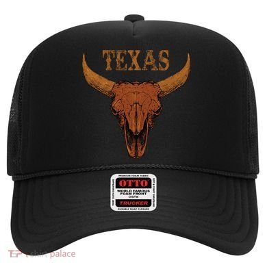 Texas TX Lone Star State Hat