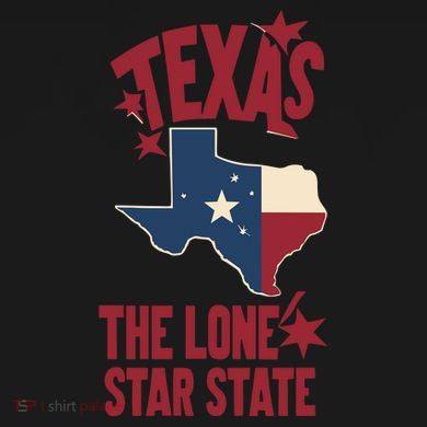 Texas The Lone Star State Gift Texas Map Cool Gift Flexfit Unipanel Trucker Cap