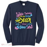 Twinkle Twinkle Little Star Only I Know What You Are Gender Sweatshirt thumb 0