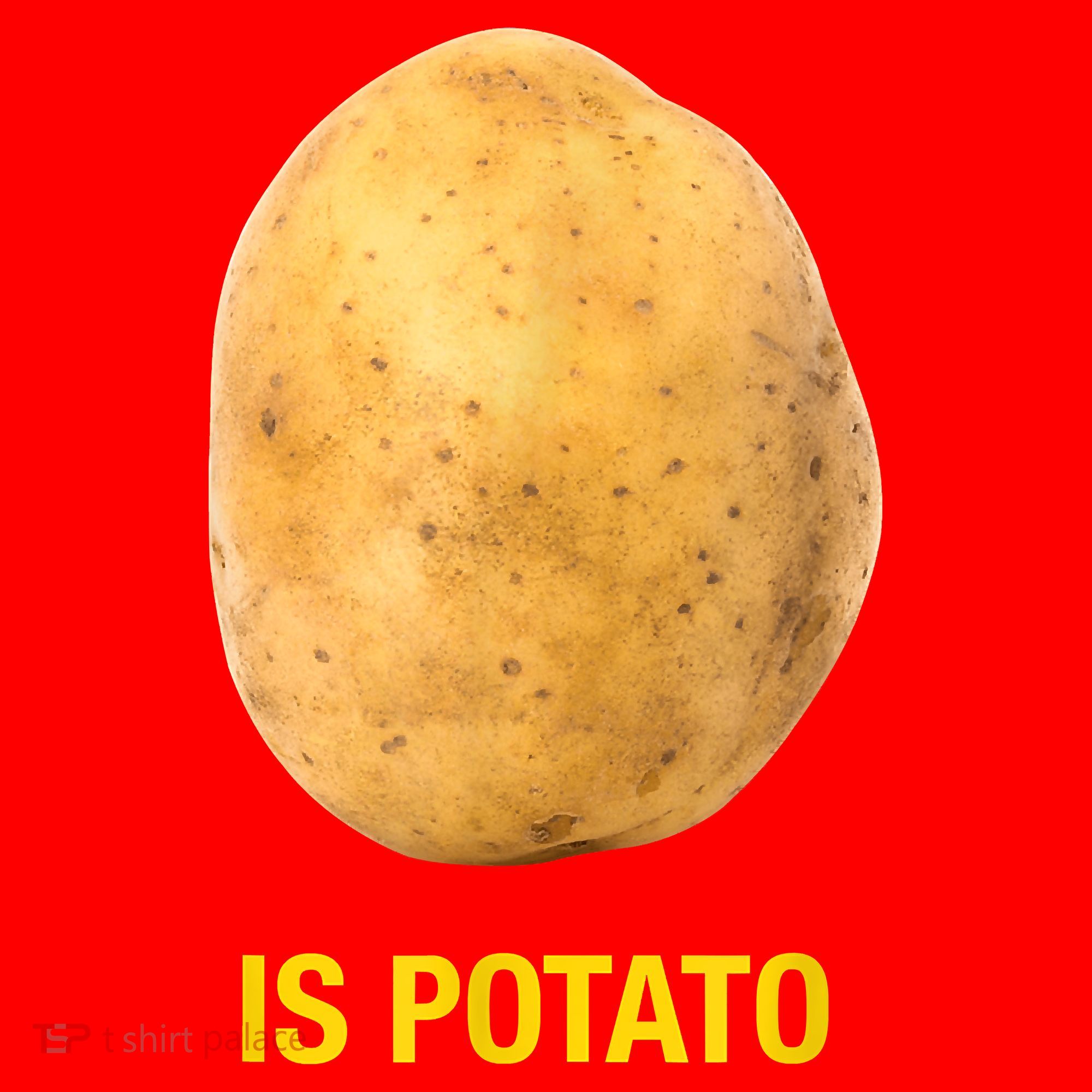 Trendy TV Show Is Potato Santa Hat