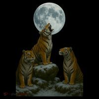 Three Tigers Moon Bucket Hat thumb 4