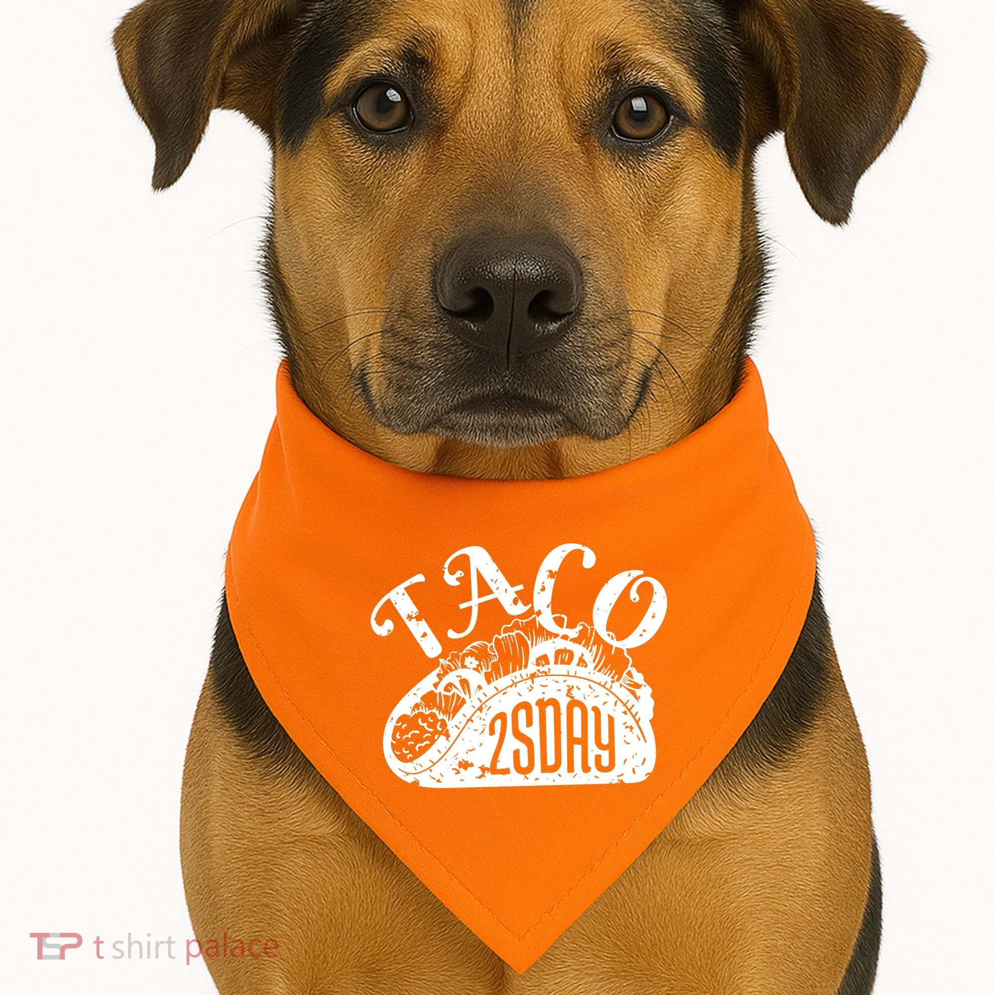 Taco Tuesday Mexican USA-Made Doggie Bandana