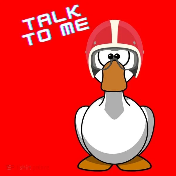 Talk To Me Goose Santa Hat