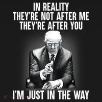 Trump They’re Not After Me They’re After You I’m Just In The Way T-Shirt thumb 7