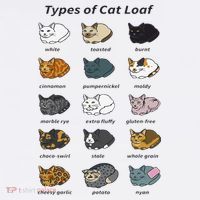 The Types of Cat Loaf Funny Animal Pet Owner T-Shirt thumb 7