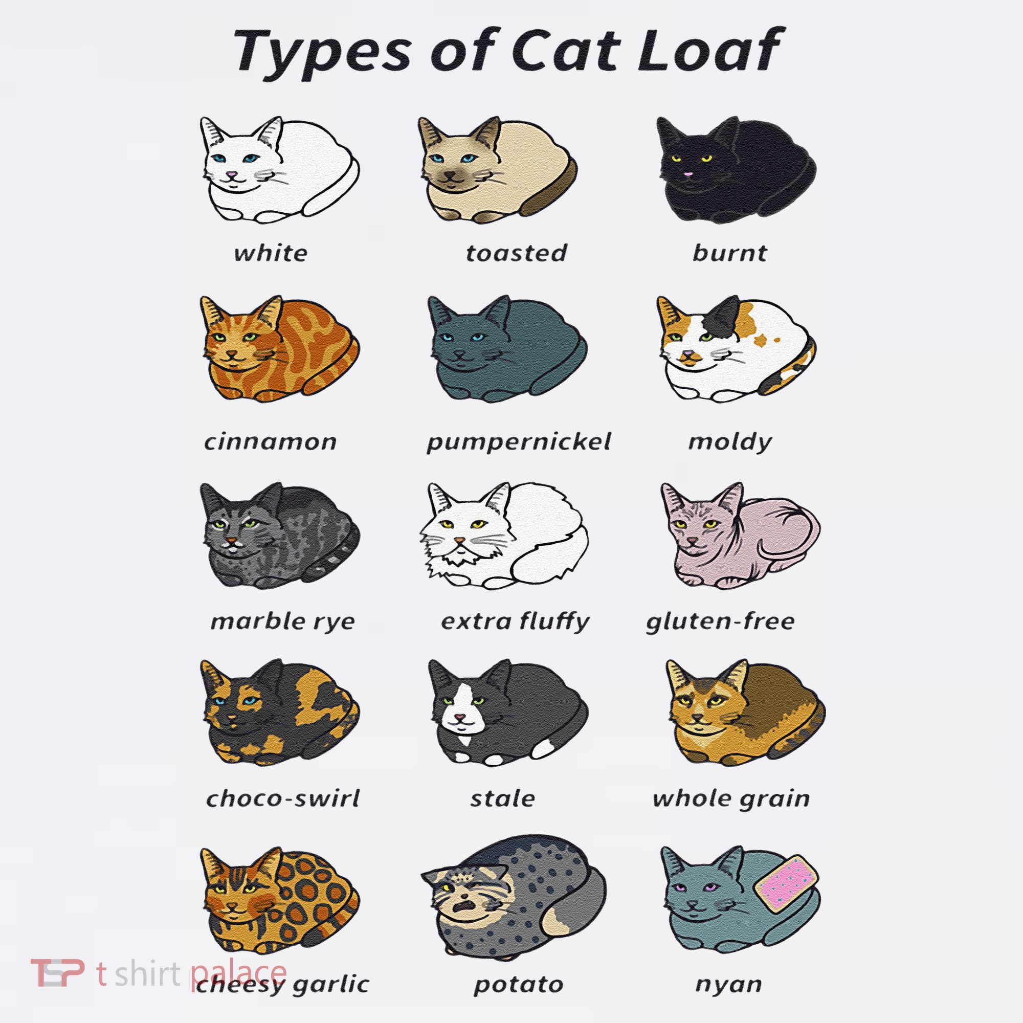 The Types of Cat Loaf Funny Animal Pet Owner T-Shirt