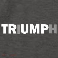 Trump Triumph Patriotic Hoodie thumb 7