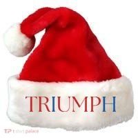 Triumph Trump Republican Trump Santa Hat thumb 0