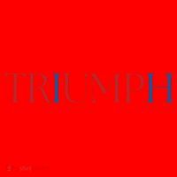 Triumph Trump Republican Trump Santa Hat thumb 1