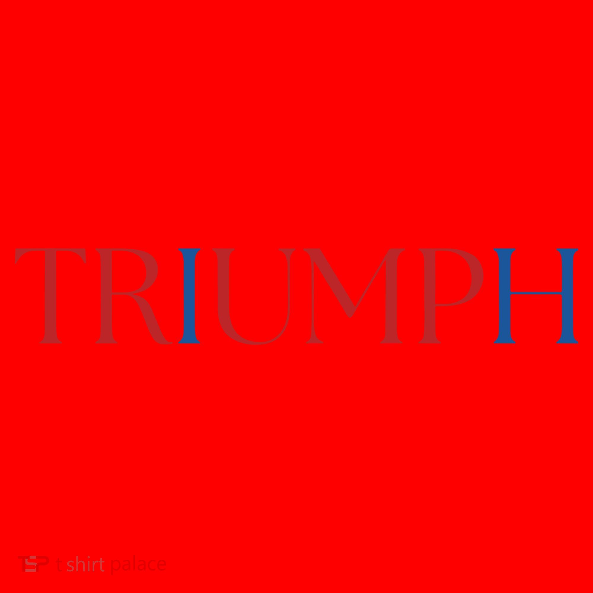 Triumph Trump Republican Trump Santa Hat