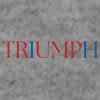Triumph Trump Republican Trump Toddler Hoodie thumb 2
