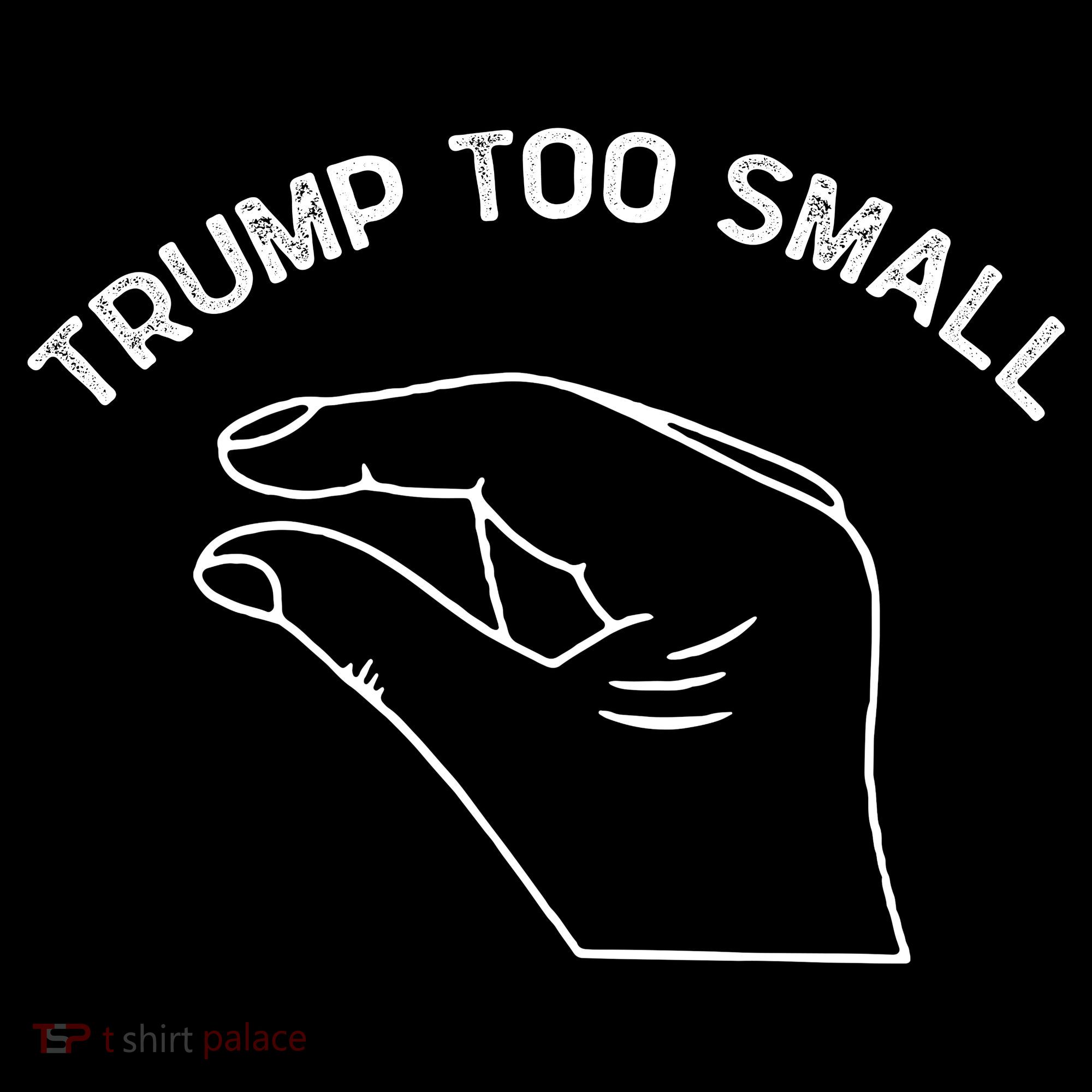 Trump Too Small Bucket Hat