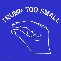 Trump Too Small Women's T-Shirt thumb 6