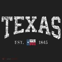 Texas  Texas State Flag Distressed Women's Sweatshirt thumb 2