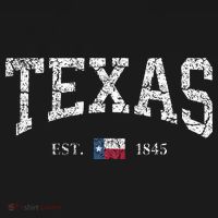 Texas  Texas State Flag Distressed Sweatshirt thumb 3