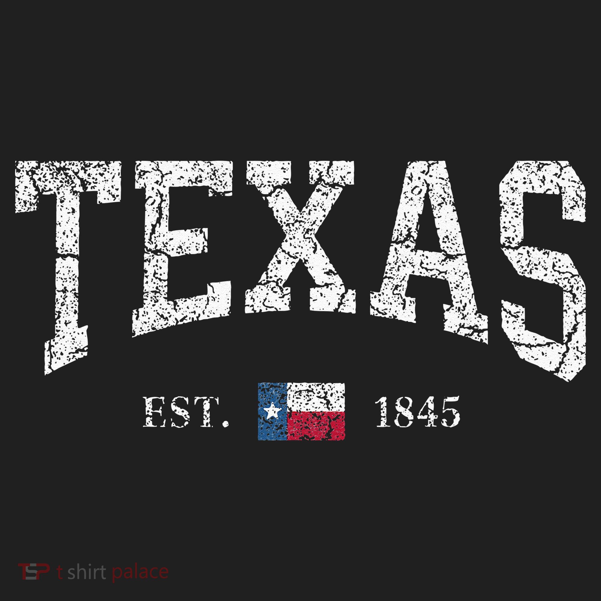 Texas  Texas State Flag Distressed Beanie