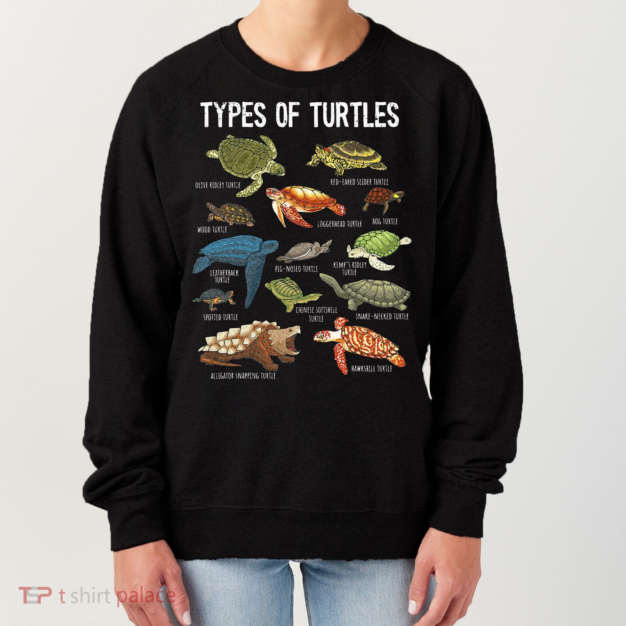 Turtle Turtle Spirit Animal Turtle Lover Women's Sweatshirt