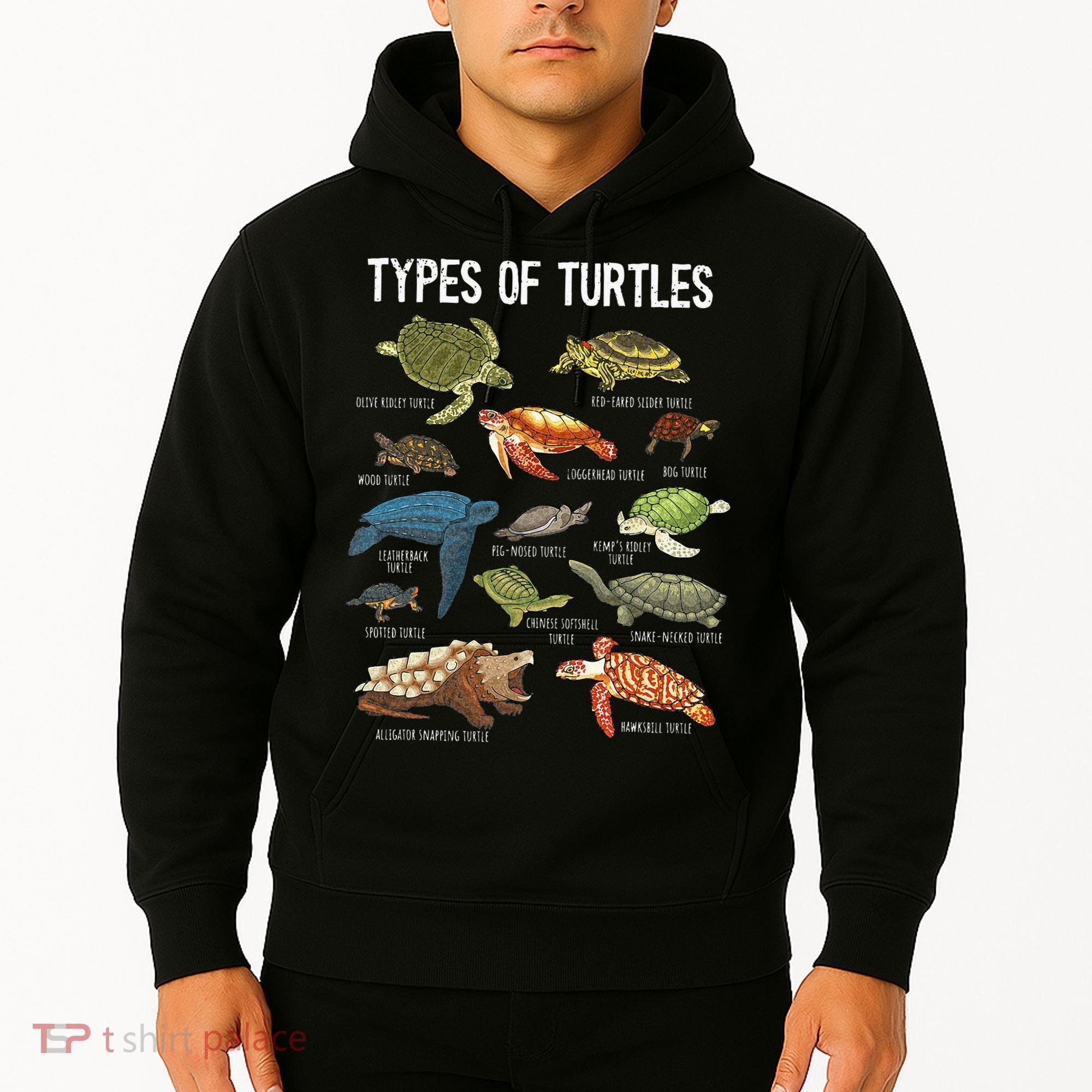 Turtle Turtle Spirit Animal Turtle Lover Hoodie