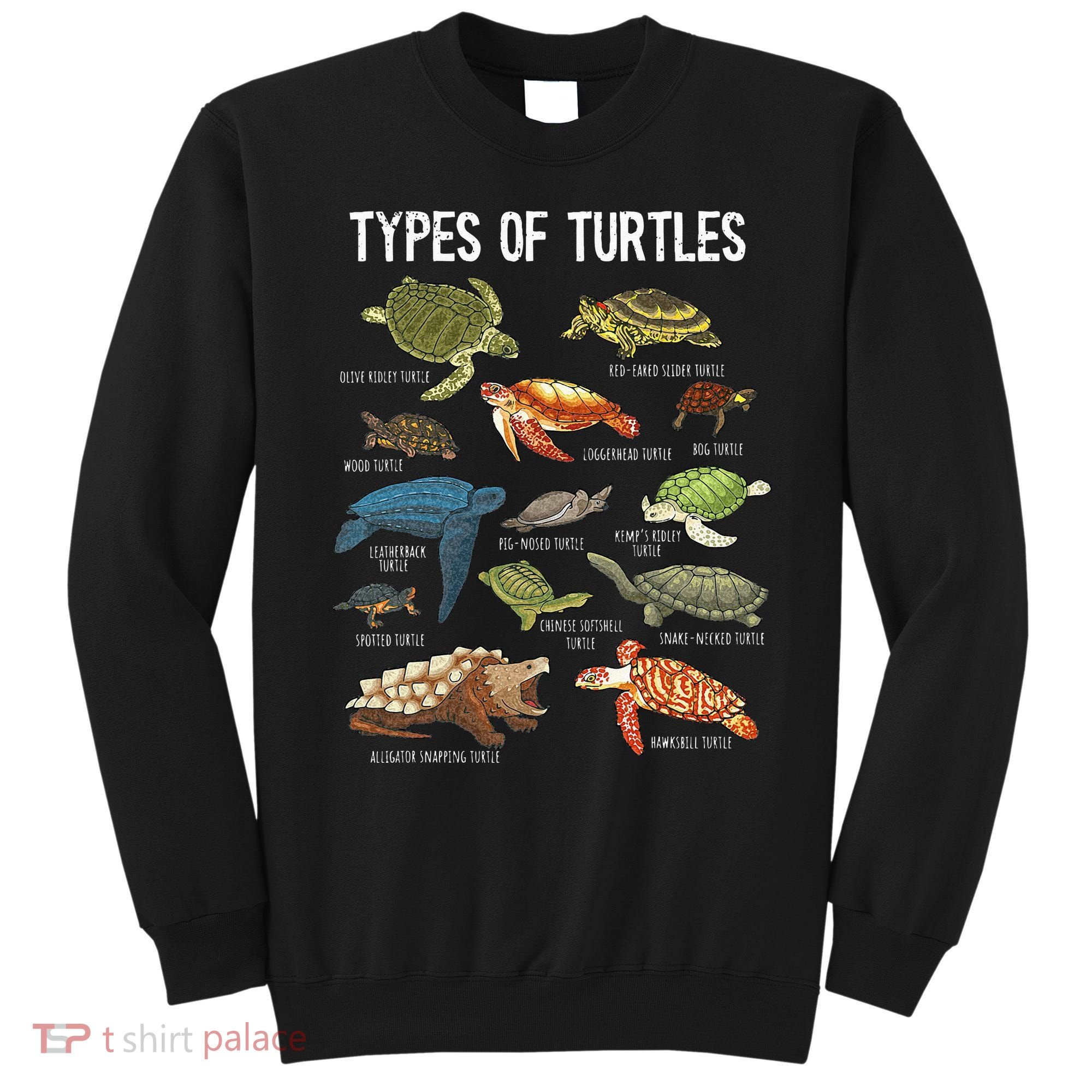 Turtle Turtle Spirit Animal Turtle Lover Sweatshirt